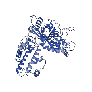 20036_6oes_C_v1-1
Cryo-EM structure of mouse RAG1/2 STC complex (without NBD domain)