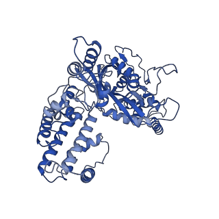 20036_6oes_C_v1-2
Cryo-EM structure of mouse RAG1/2 STC complex (without NBD domain)