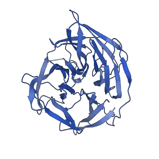 20036_6oes_D_v1-1
Cryo-EM structure of mouse RAG1/2 STC complex (without NBD domain)
