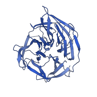 20036_6oes_D_v1-2
Cryo-EM structure of mouse RAG1/2 STC complex (without NBD domain)