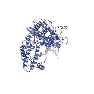 20037_6oet_A_v1-1
Cryo-EM structure of mouse RAG1/2 STC complex