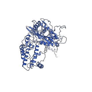 20037_6oet_A_v1-2
Cryo-EM structure of mouse RAG1/2 STC complex