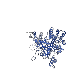 20037_6oet_C_v1-1
Cryo-EM structure of mouse RAG1/2 STC complex