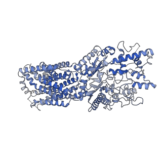 7796_6oev_A_v1-3
Structure of human Patched1 in complex with native Sonic Hedgehog