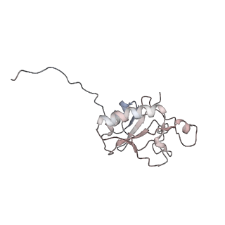 7796_6oev_C_v1-3
Structure of human Patched1 in complex with native Sonic Hedgehog