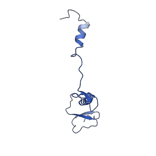 12867_7of2_0_v1-2
Structure of a human mitochondrial ribosome large subunit assembly intermediate in complex with GTPBP6.