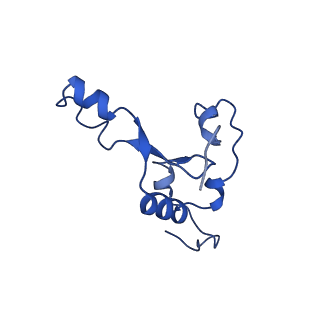 12867_7of2_3_v1-2
Structure of a human mitochondrial ribosome large subunit assembly intermediate in complex with GTPBP6.