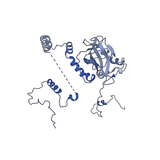 12867_7of2_6_v1-2
Structure of a human mitochondrial ribosome large subunit assembly intermediate in complex with GTPBP6.