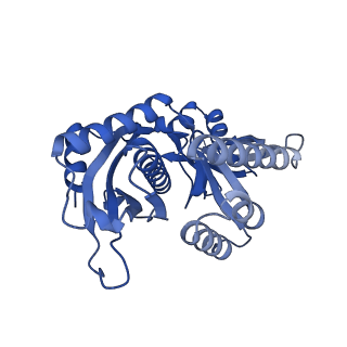 12867_7of2_7_v1-2
Structure of a human mitochondrial ribosome large subunit assembly intermediate in complex with GTPBP6.