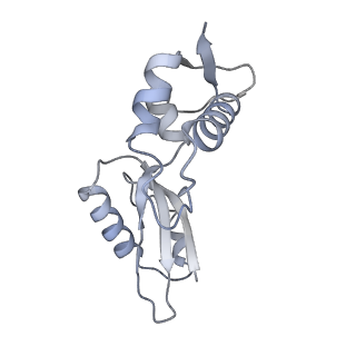 12867_7of2_J_v1-2
Structure of a human mitochondrial ribosome large subunit assembly intermediate in complex with GTPBP6.