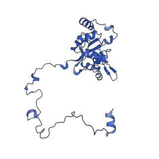 12867_7of2_M_v1-2
Structure of a human mitochondrial ribosome large subunit assembly intermediate in complex with GTPBP6.
