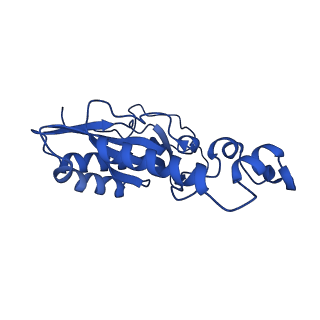12867_7of2_N_v1-2
Structure of a human mitochondrial ribosome large subunit assembly intermediate in complex with GTPBP6.