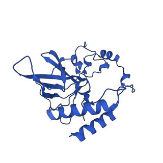 12867_7of2_Q_v1-2
Structure of a human mitochondrial ribosome large subunit assembly intermediate in complex with GTPBP6.