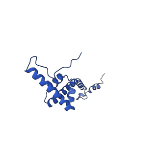 12867_7of2_R_v1-2
Structure of a human mitochondrial ribosome large subunit assembly intermediate in complex with GTPBP6.