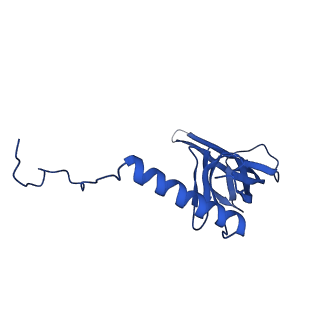 12867_7of2_S_v1-2
Structure of a human mitochondrial ribosome large subunit assembly intermediate in complex with GTPBP6.