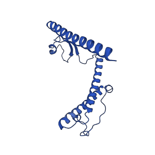 12867_7of2_Y_v1-2
Structure of a human mitochondrial ribosome large subunit assembly intermediate in complex with GTPBP6.