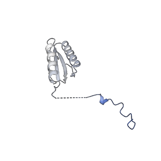 12867_7of2_f_v1-2
Structure of a human mitochondrial ribosome large subunit assembly intermediate in complex with GTPBP6.