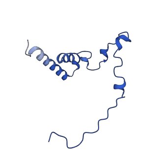 12867_7of2_i_v1-2
Structure of a human mitochondrial ribosome large subunit assembly intermediate in complex with GTPBP6.