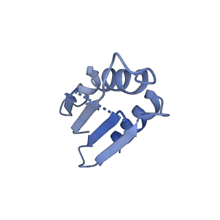 12867_7of2_k_v1-2
Structure of a human mitochondrial ribosome large subunit assembly intermediate in complex with GTPBP6.