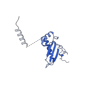 12867_7of2_p_v1-2
Structure of a human mitochondrial ribosome large subunit assembly intermediate in complex with GTPBP6.