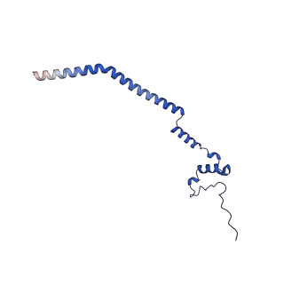 12867_7of2_q_v1-2
Structure of a human mitochondrial ribosome large subunit assembly intermediate in complex with GTPBP6.