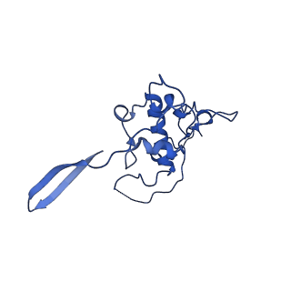 12867_7of2_r_v1-2
Structure of a human mitochondrial ribosome large subunit assembly intermediate in complex with GTPBP6.