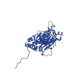 12867_7of2_s_v1-2
Structure of a human mitochondrial ribosome large subunit assembly intermediate in complex with GTPBP6.