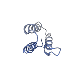 12867_7of2_v_v1-2
Structure of a human mitochondrial ribosome large subunit assembly intermediate in complex with GTPBP6.