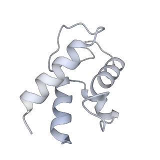 12867_7of2_w_v1-2
Structure of a human mitochondrial ribosome large subunit assembly intermediate in complex with GTPBP6.