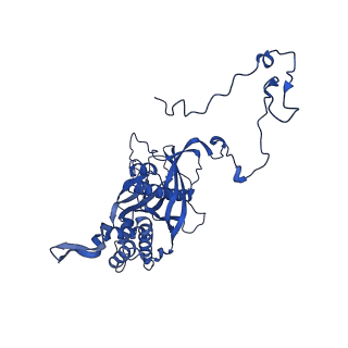 12868_7of3_5_v1-2
Structure of a human mitochondrial ribosome large subunit assembly intermediate in complex with MTERF4-NSUN4 (dataset2).