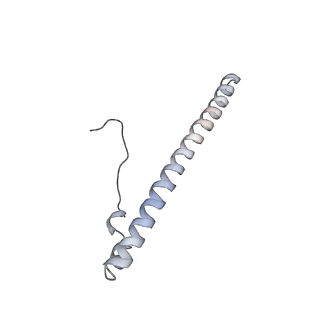 12868_7of3_8_v1-2
Structure of a human mitochondrial ribosome large subunit assembly intermediate in complex with MTERF4-NSUN4 (dataset2).