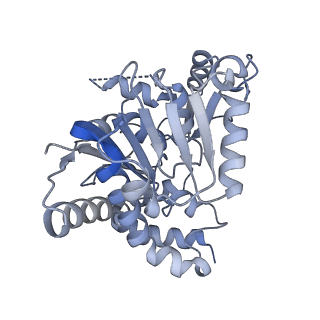 12868_7of3_C_v1-2
Structure of a human mitochondrial ribosome large subunit assembly intermediate in complex with MTERF4-NSUN4 (dataset2).