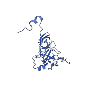 12868_7of3_D_v1-2
Structure of a human mitochondrial ribosome large subunit assembly intermediate in complex with MTERF4-NSUN4 (dataset2).