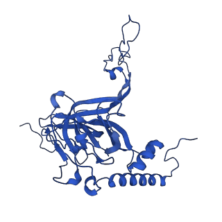 12868_7of3_E_v1-2
Structure of a human mitochondrial ribosome large subunit assembly intermediate in complex with MTERF4-NSUN4 (dataset2).