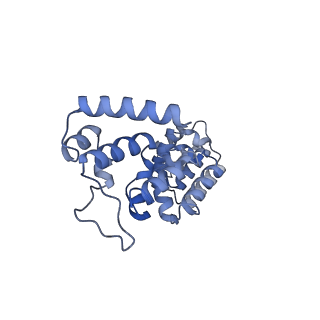 12868_7of3_G_v1-2
Structure of a human mitochondrial ribosome large subunit assembly intermediate in complex with MTERF4-NSUN4 (dataset2).