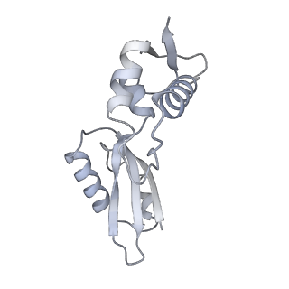 12868_7of3_J_v1-2
Structure of a human mitochondrial ribosome large subunit assembly intermediate in complex with MTERF4-NSUN4 (dataset2).
