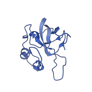 12868_7of3_L_v1-2
Structure of a human mitochondrial ribosome large subunit assembly intermediate in complex with MTERF4-NSUN4 (dataset2).