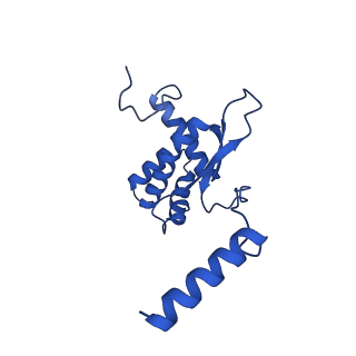12868_7of3_O_v1-2
Structure of a human mitochondrial ribosome large subunit assembly intermediate in complex with MTERF4-NSUN4 (dataset2).