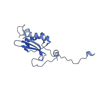 12868_7of3_P_v1-2
Structure of a human mitochondrial ribosome large subunit assembly intermediate in complex with MTERF4-NSUN4 (dataset2).