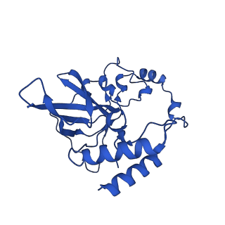 12868_7of3_Q_v1-2
Structure of a human mitochondrial ribosome large subunit assembly intermediate in complex with MTERF4-NSUN4 (dataset2).
