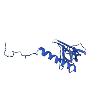 12868_7of3_S_v1-2
Structure of a human mitochondrial ribosome large subunit assembly intermediate in complex with MTERF4-NSUN4 (dataset2).