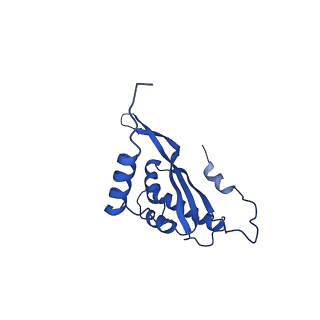 12868_7of3_T_v1-2
Structure of a human mitochondrial ribosome large subunit assembly intermediate in complex with MTERF4-NSUN4 (dataset2).