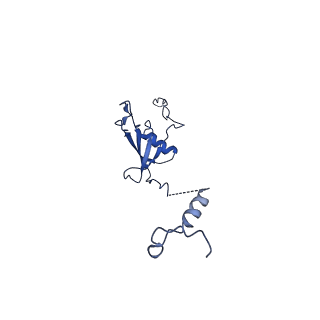 12868_7of3_U_v1-2
Structure of a human mitochondrial ribosome large subunit assembly intermediate in complex with MTERF4-NSUN4 (dataset2).