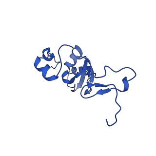 12868_7of3_Z_v1-2
Structure of a human mitochondrial ribosome large subunit assembly intermediate in complex with MTERF4-NSUN4 (dataset2).