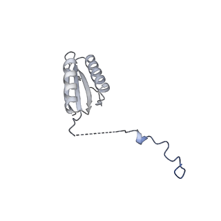 12868_7of3_f_v1-2
Structure of a human mitochondrial ribosome large subunit assembly intermediate in complex with MTERF4-NSUN4 (dataset2).