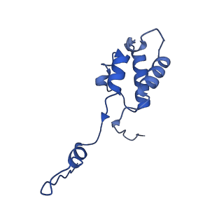 12868_7of3_h_v1-2
Structure of a human mitochondrial ribosome large subunit assembly intermediate in complex with MTERF4-NSUN4 (dataset2).