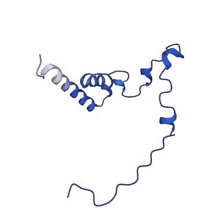 12868_7of3_i_v1-2
Structure of a human mitochondrial ribosome large subunit assembly intermediate in complex with MTERF4-NSUN4 (dataset2).