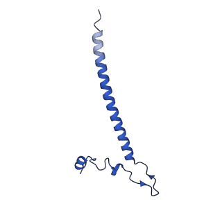 12868_7of3_j_v1-2
Structure of a human mitochondrial ribosome large subunit assembly intermediate in complex with MTERF4-NSUN4 (dataset2).