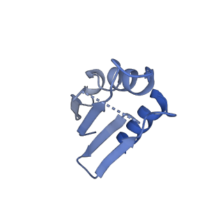 12868_7of3_k_v1-2
Structure of a human mitochondrial ribosome large subunit assembly intermediate in complex with MTERF4-NSUN4 (dataset2).