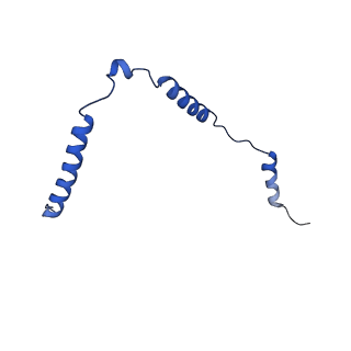 12868_7of3_o_v1-2
Structure of a human mitochondrial ribosome large subunit assembly intermediate in complex with MTERF4-NSUN4 (dataset2).